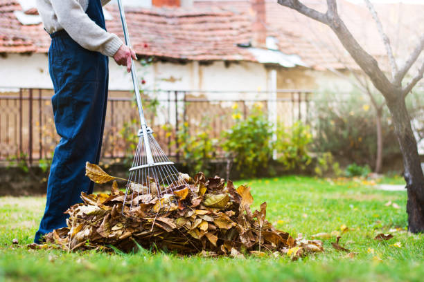 Leaf removal service